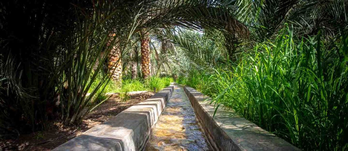 Falaj Irrigation System in UAE Method, Types & More MyBayut