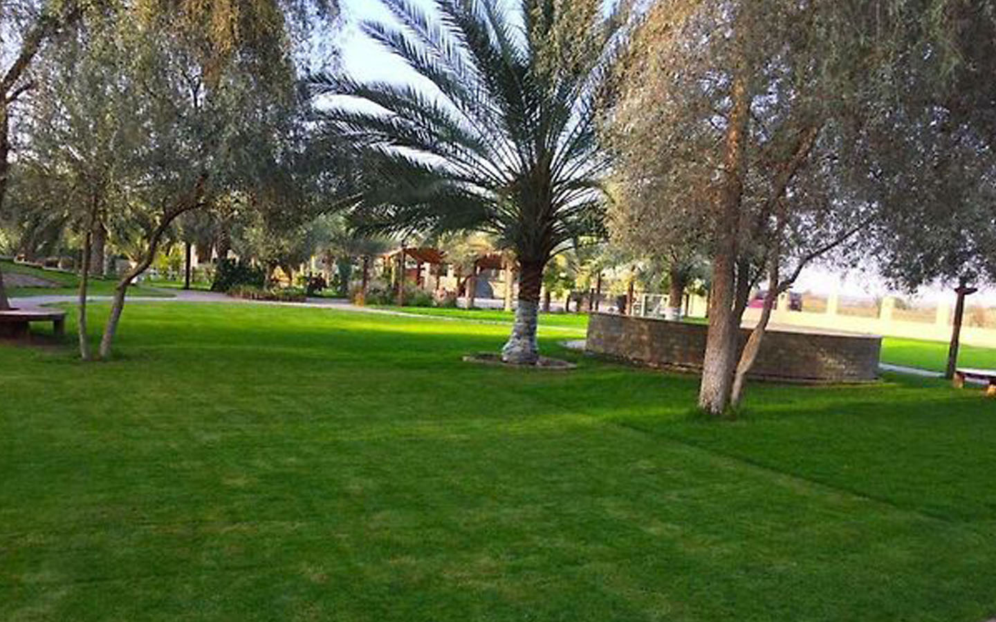 Popular Farm Stays in the UAE Hatta, Dubai & More MyBayut