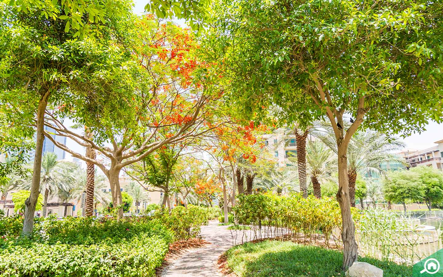 Popular Areas to Rent Apartments in The Greens, Dubai MyBayut