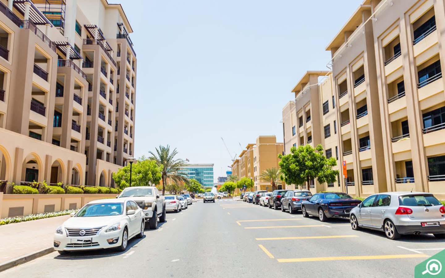 شارع في الروضة دبي