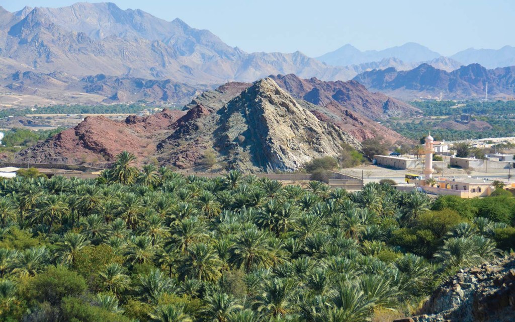 مزراع حتا