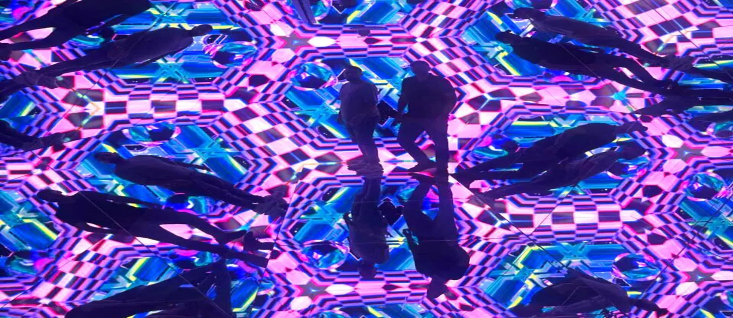 هاوس أوف هايب