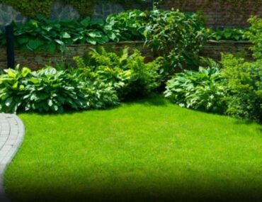 حديقة منزلية