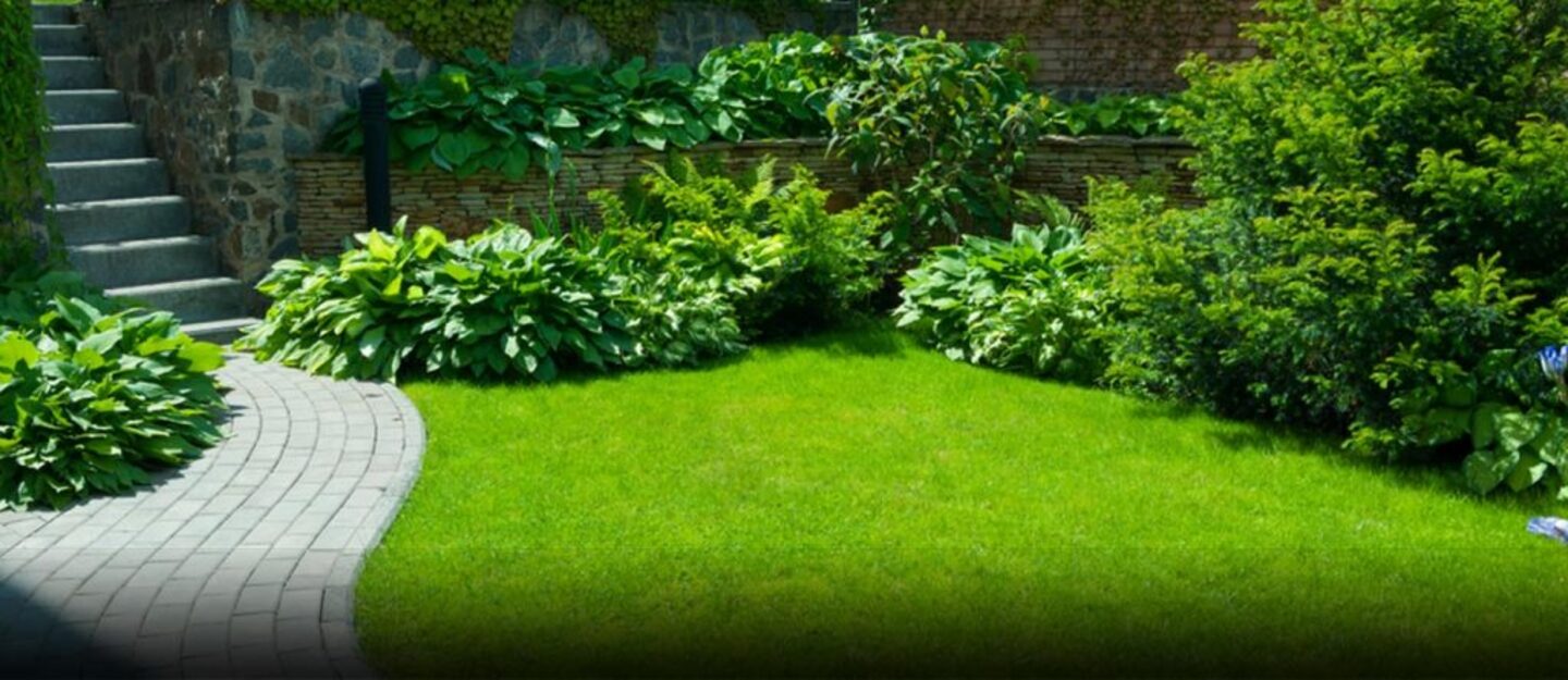 حديقة منزلية