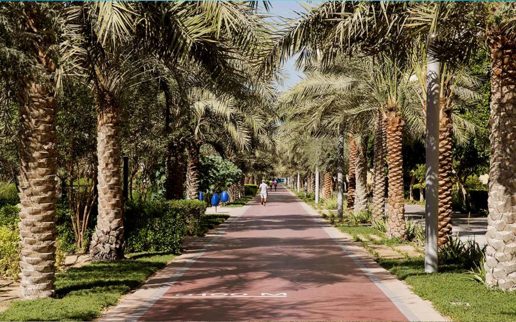Immigration visa for UAE with approved stamp