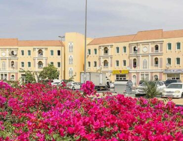 pros and cons of living in international city