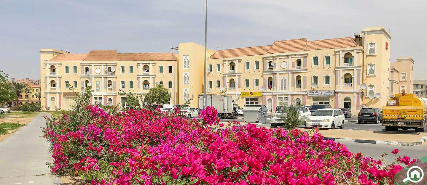 pros and cons of living in international city