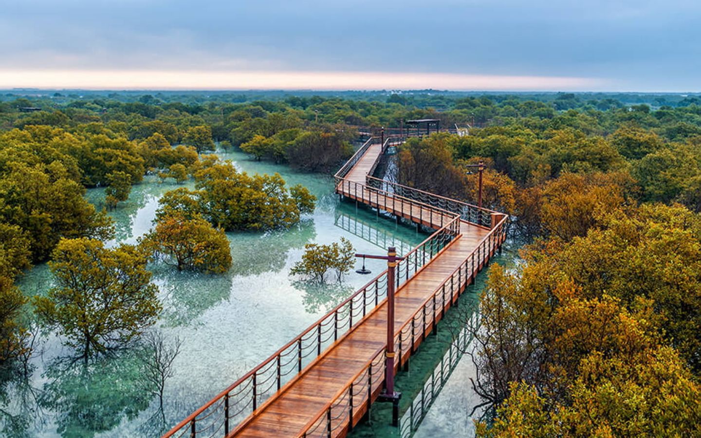 Jubail Mangrove Park Abu Dhabi Broadwalk Kayaking More MyBayut Jubail Mangrove Park Abu Dhabi Broadwalk Kayaking More MyBayut