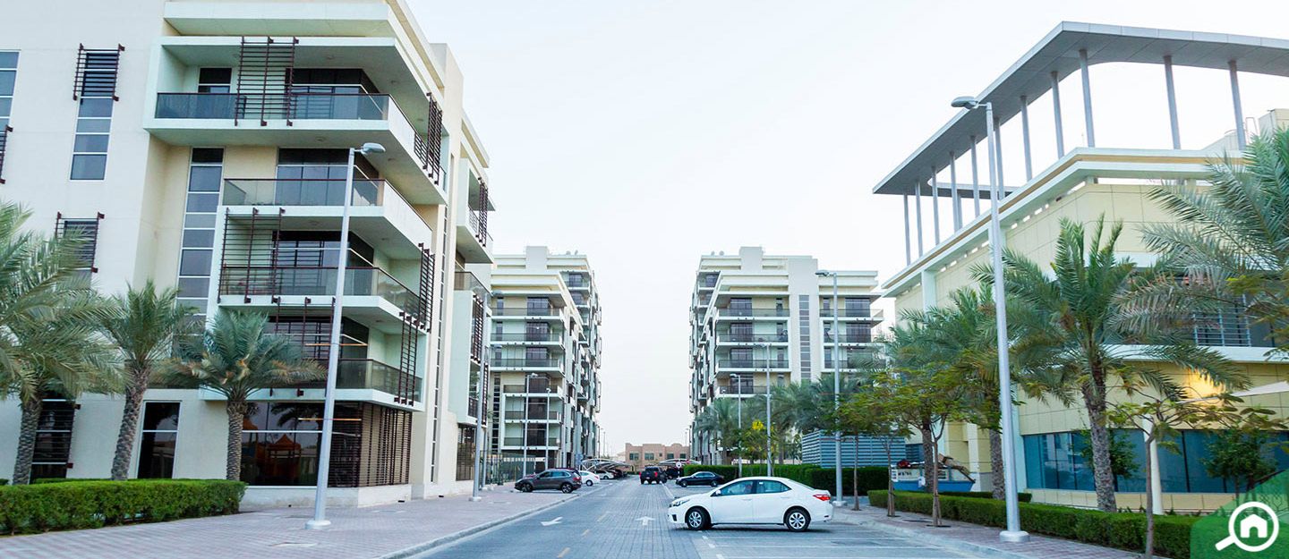Modern apartment buildings in Khalifa City