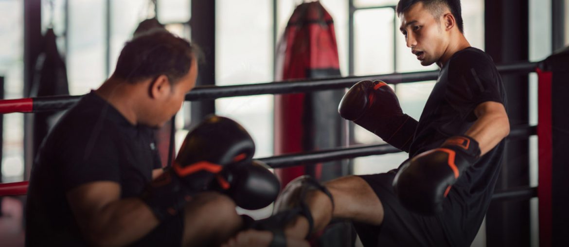 Kickboxing classes in Abu Dhabi Cobra Fitness, Emirates & more MyBayut