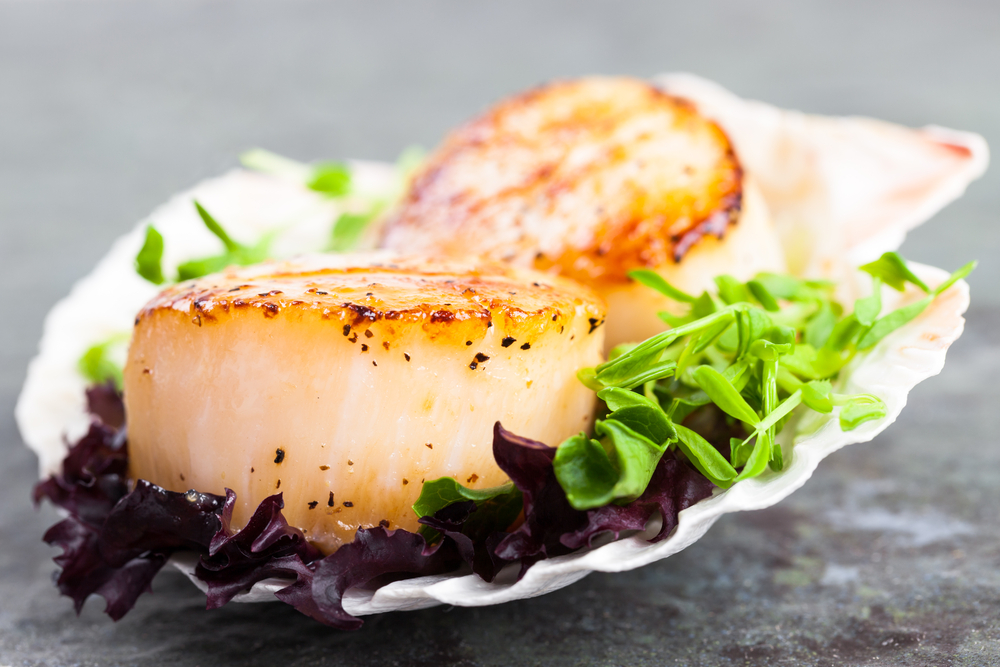 Pan seared scallops