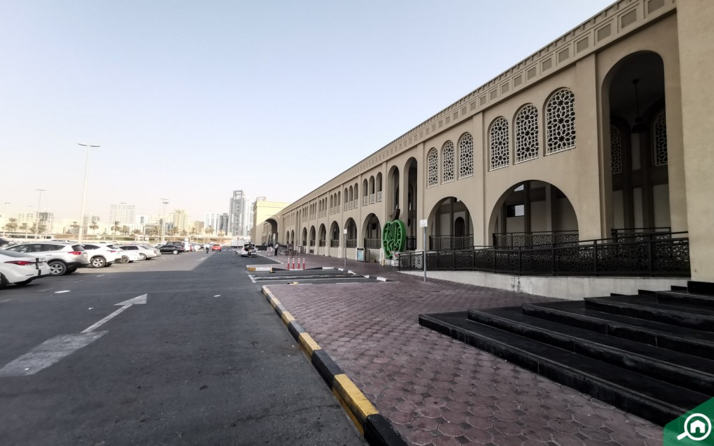 Sharjah Fish Market Overview Timings, Location & More MyBayut