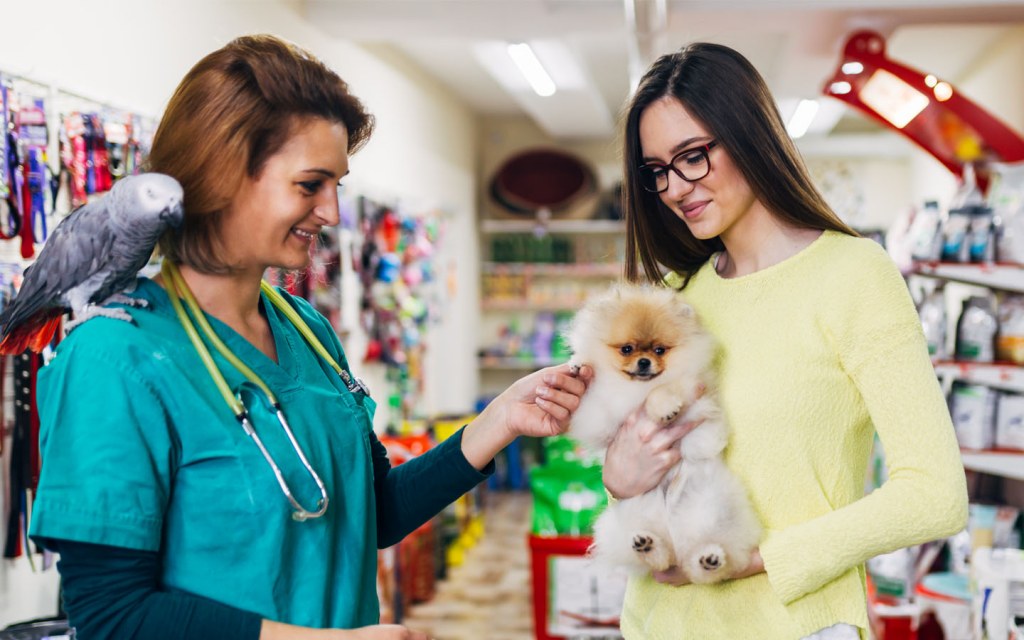 Where to Find Pet Adoption Centres in Dubai MyBayut