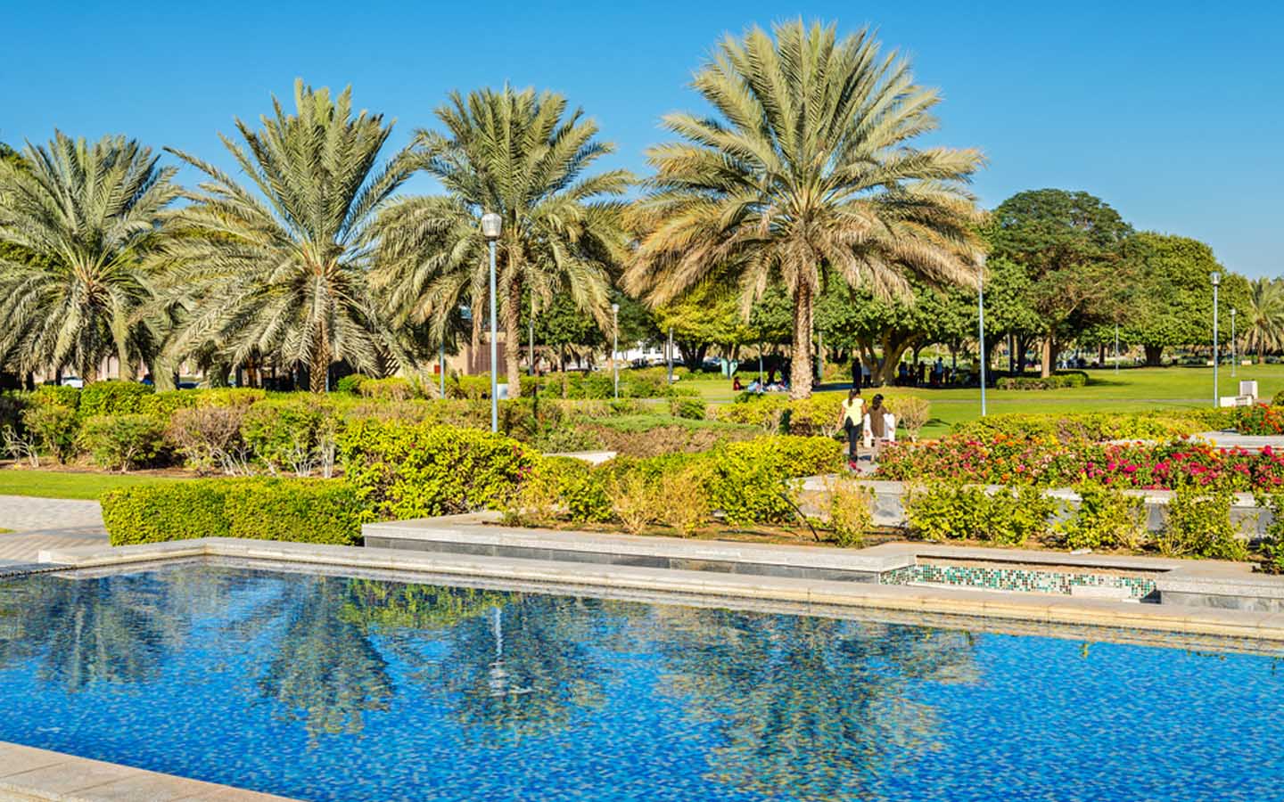 واحات العين الجميلة: معالم طبيعية جذّابة في قلب مدينة العين | ماي بيوت