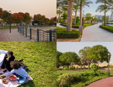 glimpse of family parks in Abu Dhabi