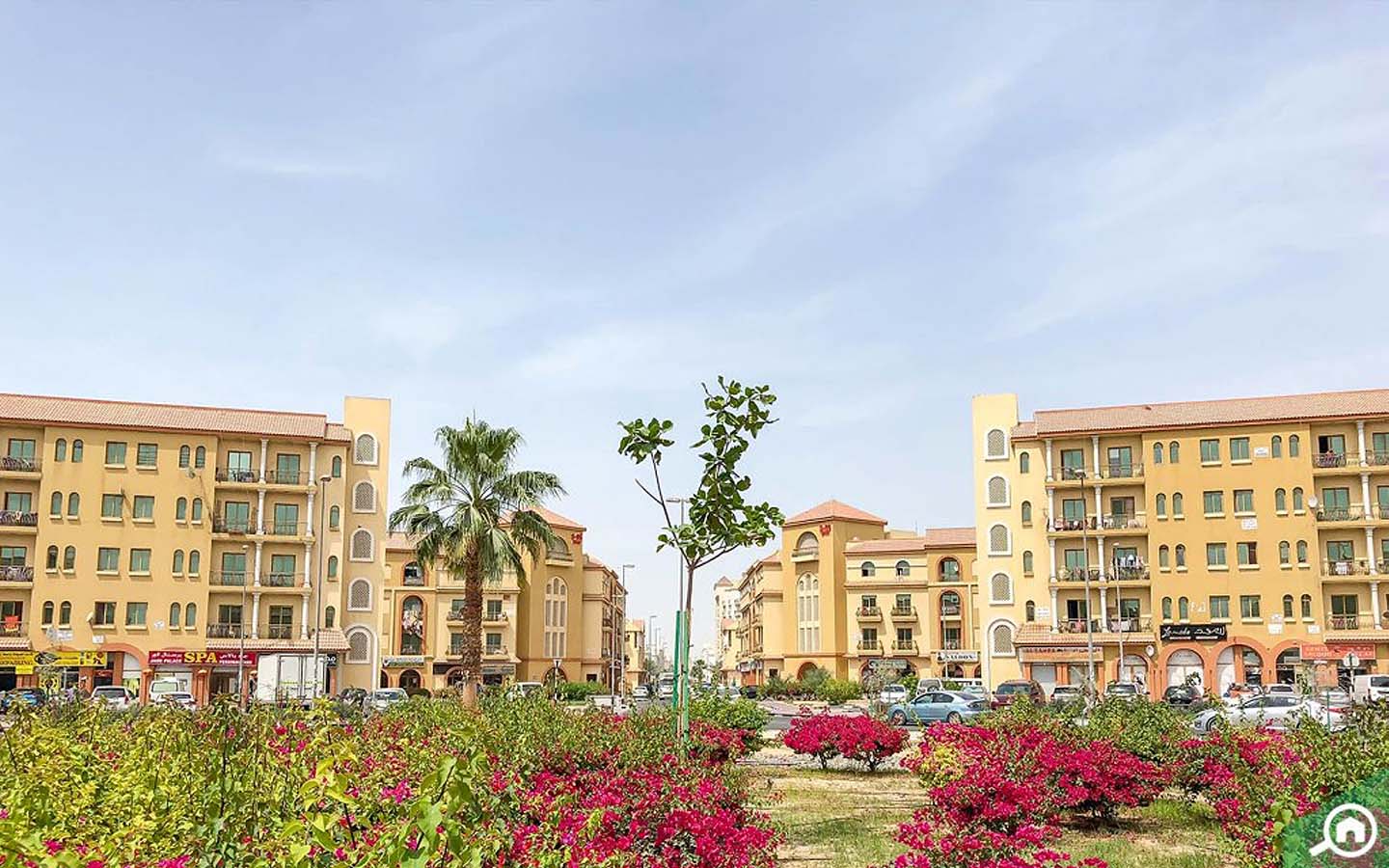 Affordable 1bed Apartment Areas in Dubai MyBayut