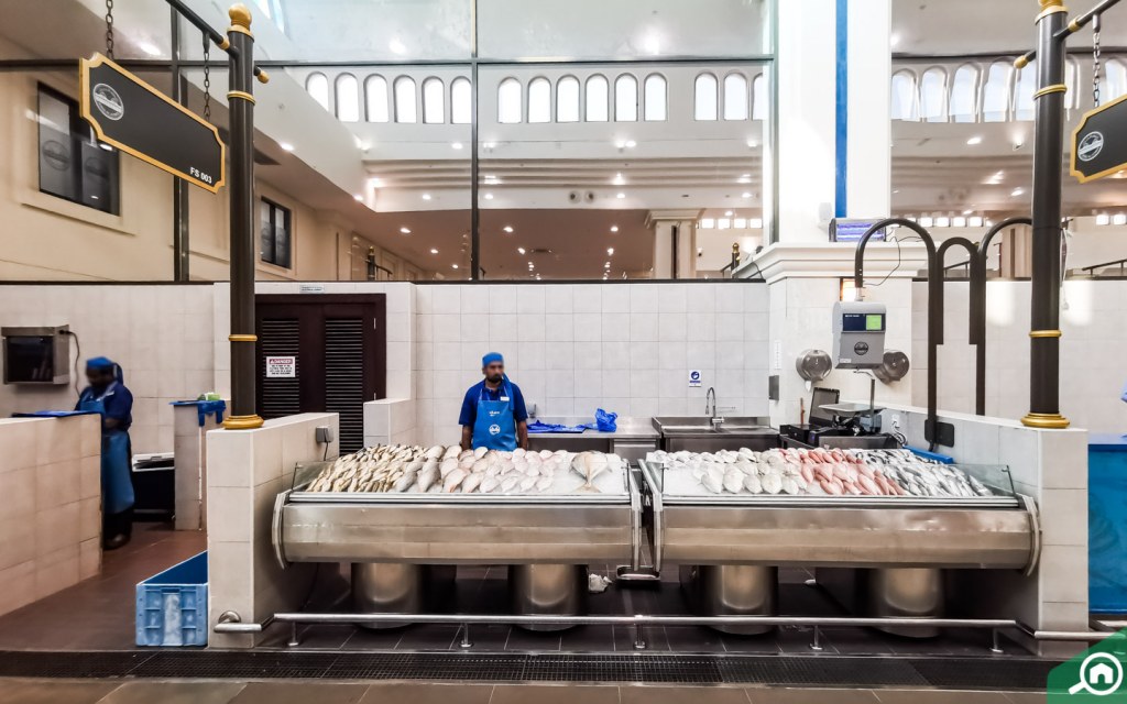 Sharjah Fish Market Overview Timings, Location & More MyBayut