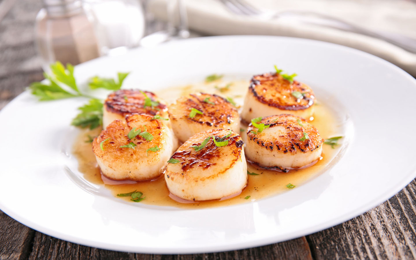 Scallop served in a plate