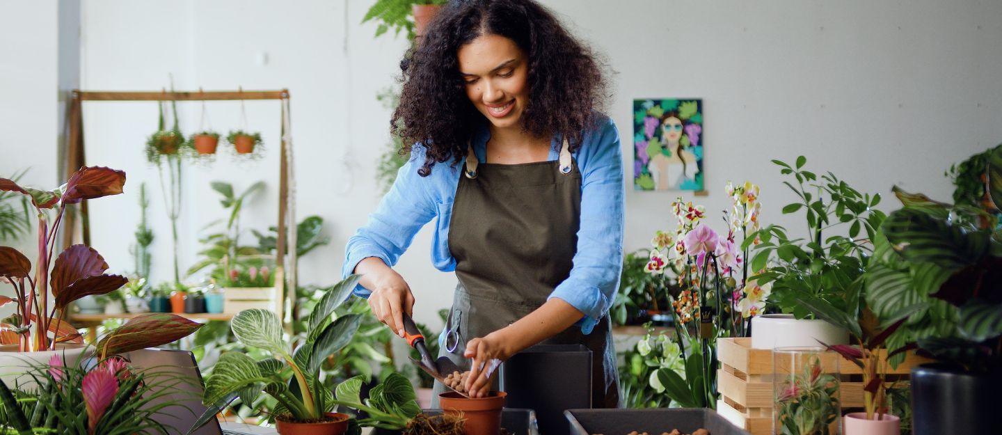Women taking care of indoor plants in Dubai