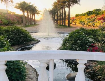 منتزه الشارقة الصحراوي