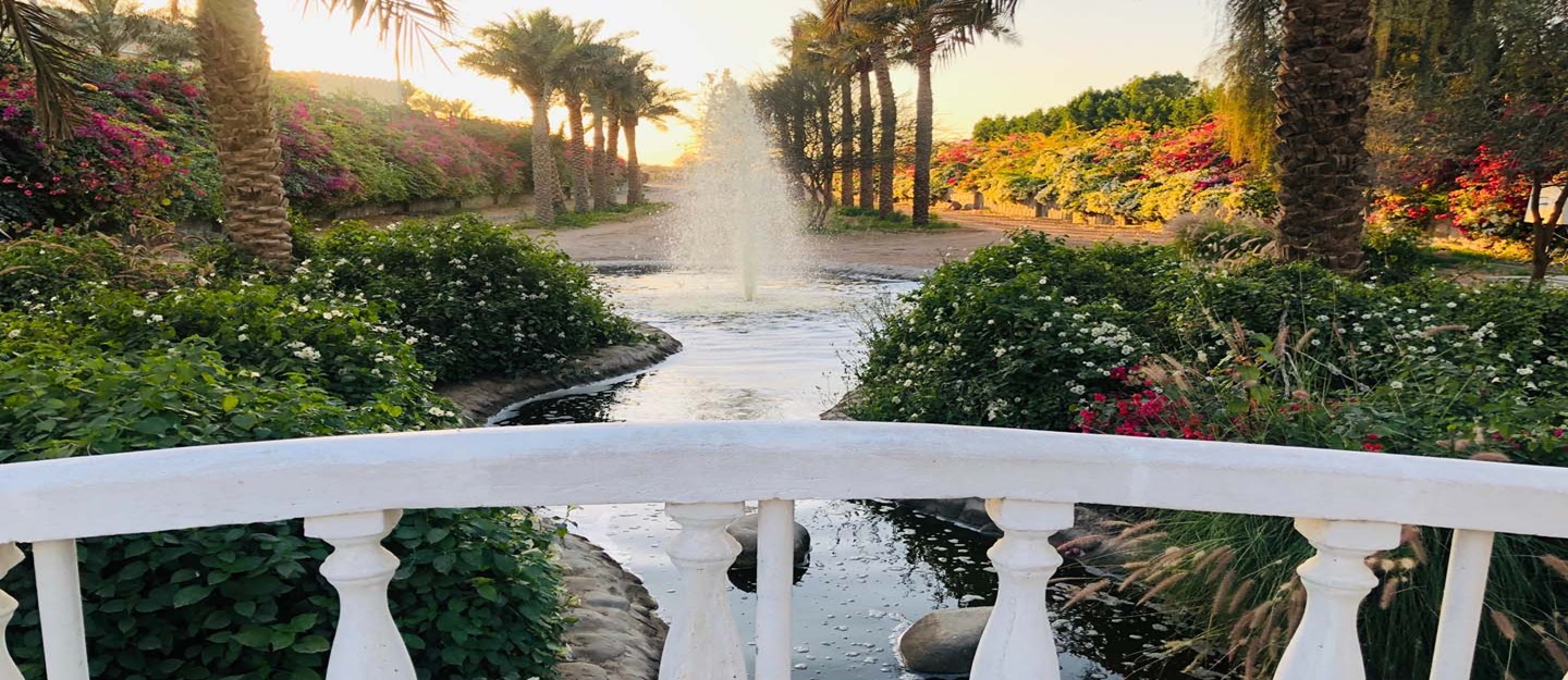 منتزه الشارقة الصحراوي