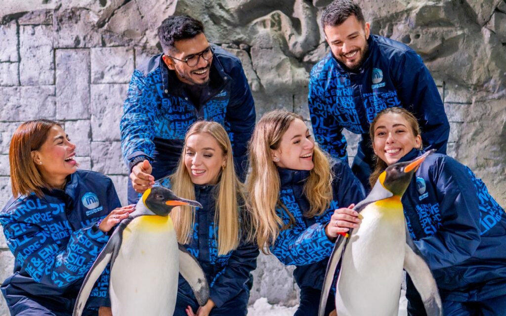 friends enjoying penguin encounter at Ski Dubai