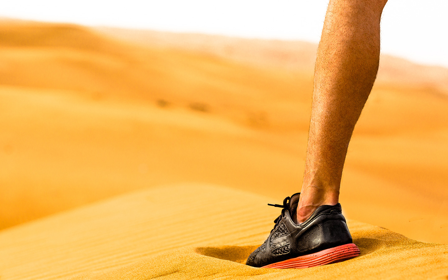 تتنوع الأنشطة الرياضية المقامة خلال الشهر الفضيل في دبي