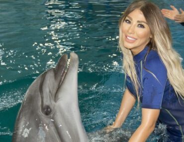 the dolphinarium