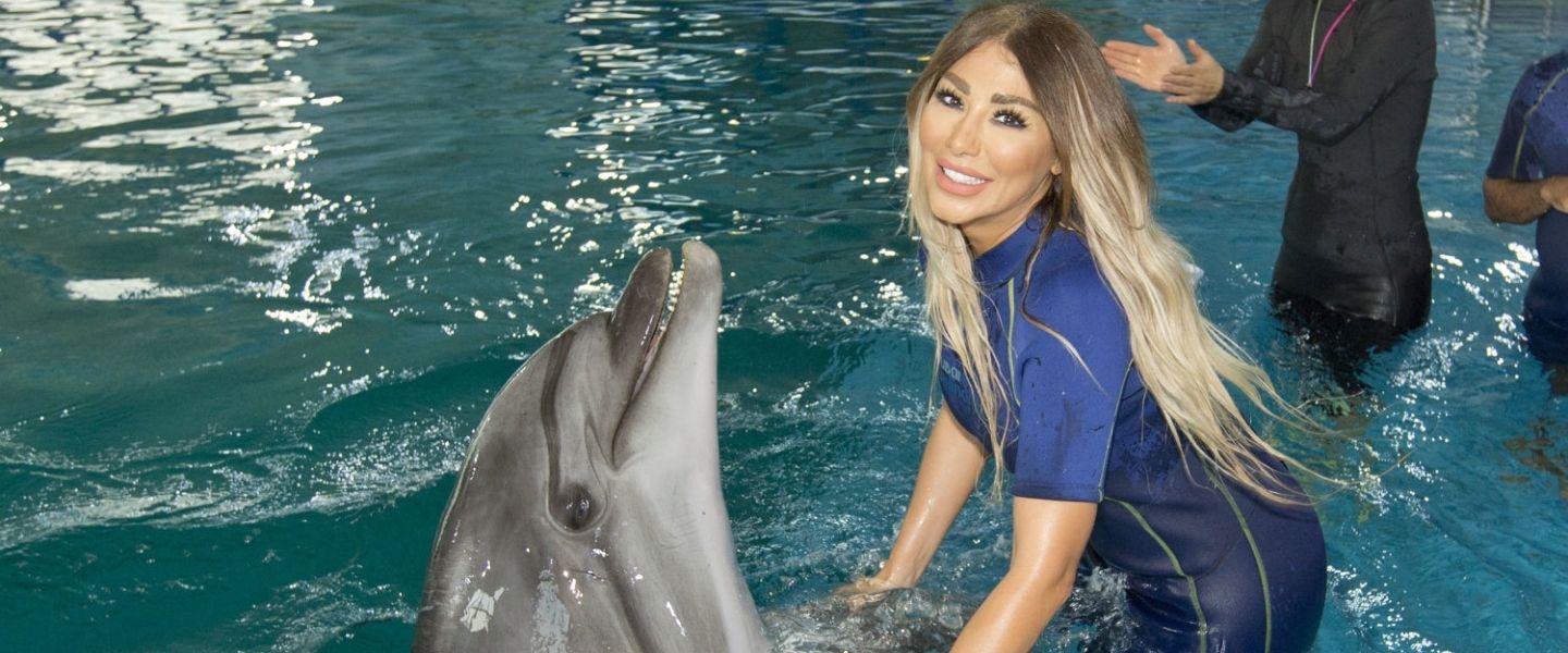 the dolphinarium