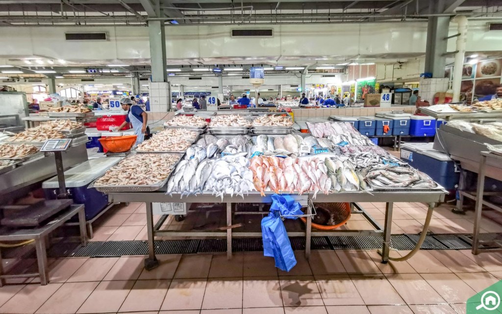 Abu Dhabi Fish Market Location, Activities, Restaurants & More MyBayut