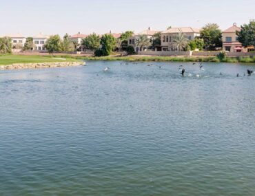 areas with villas for sale in Jumeirah Golf Estates