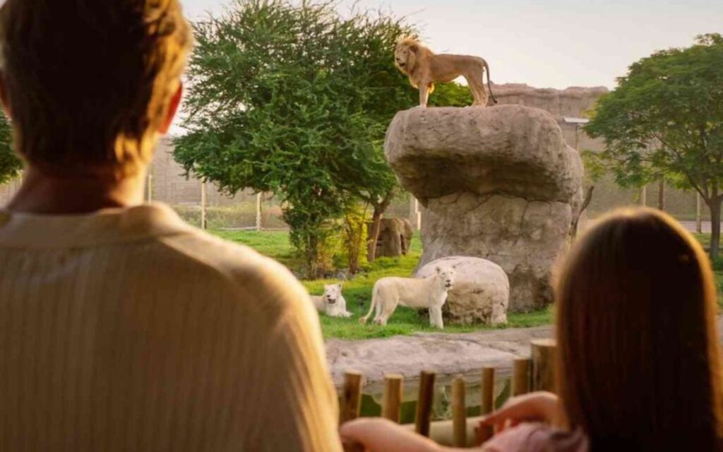 best time to visit dubai safari park is in winters