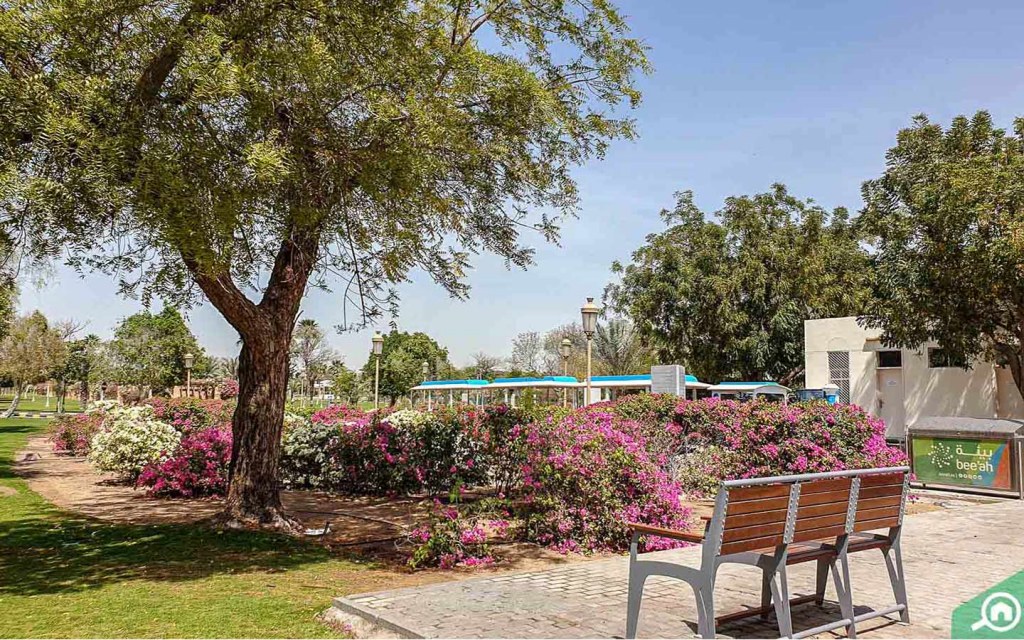 منتزه الشارقة الوطني